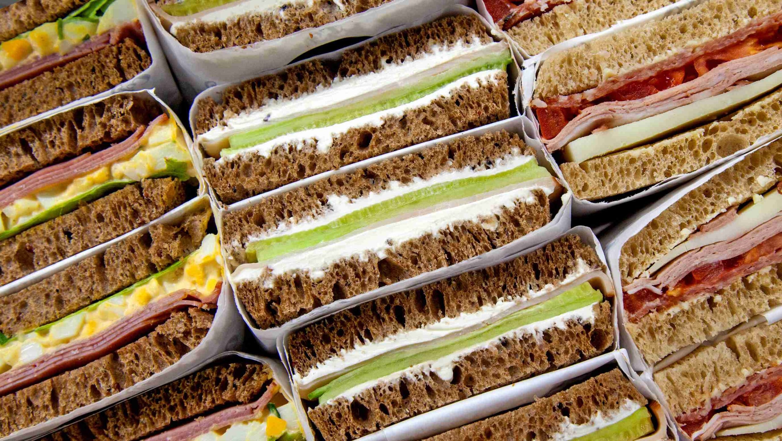 SANDOS1-compressed (1)